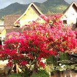 kampung sumber alam