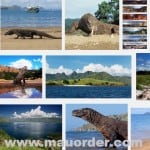 gambar pulau komodo
