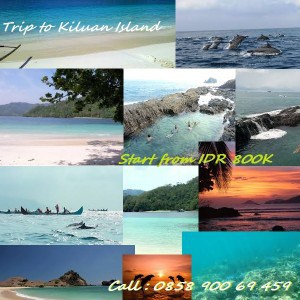 Paket Wista Hemat Teluk Kiluan Lampung