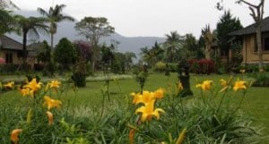 hotel terbaik di bedugul bali