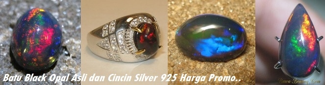 black opal asli harga promo