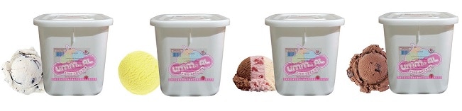 jual es krim murah 8 literan 160rb