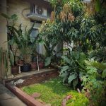 Jual Rumah di Bintaro Hill Merpati Raya, Bebas Banjir. Info: 08881 6262 52